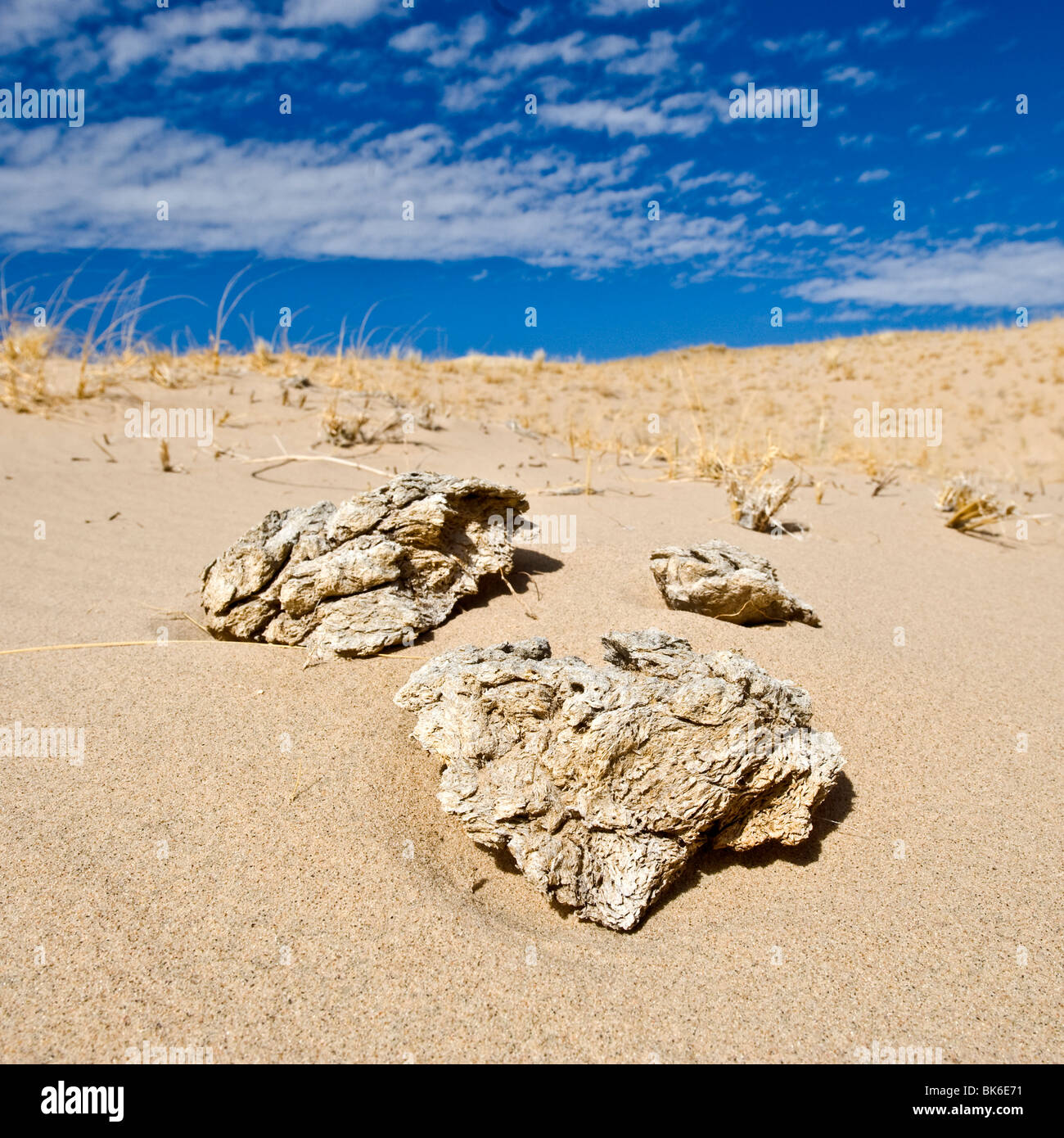 Kelso Dunes, Mojave National Preserve, California Stock Photo