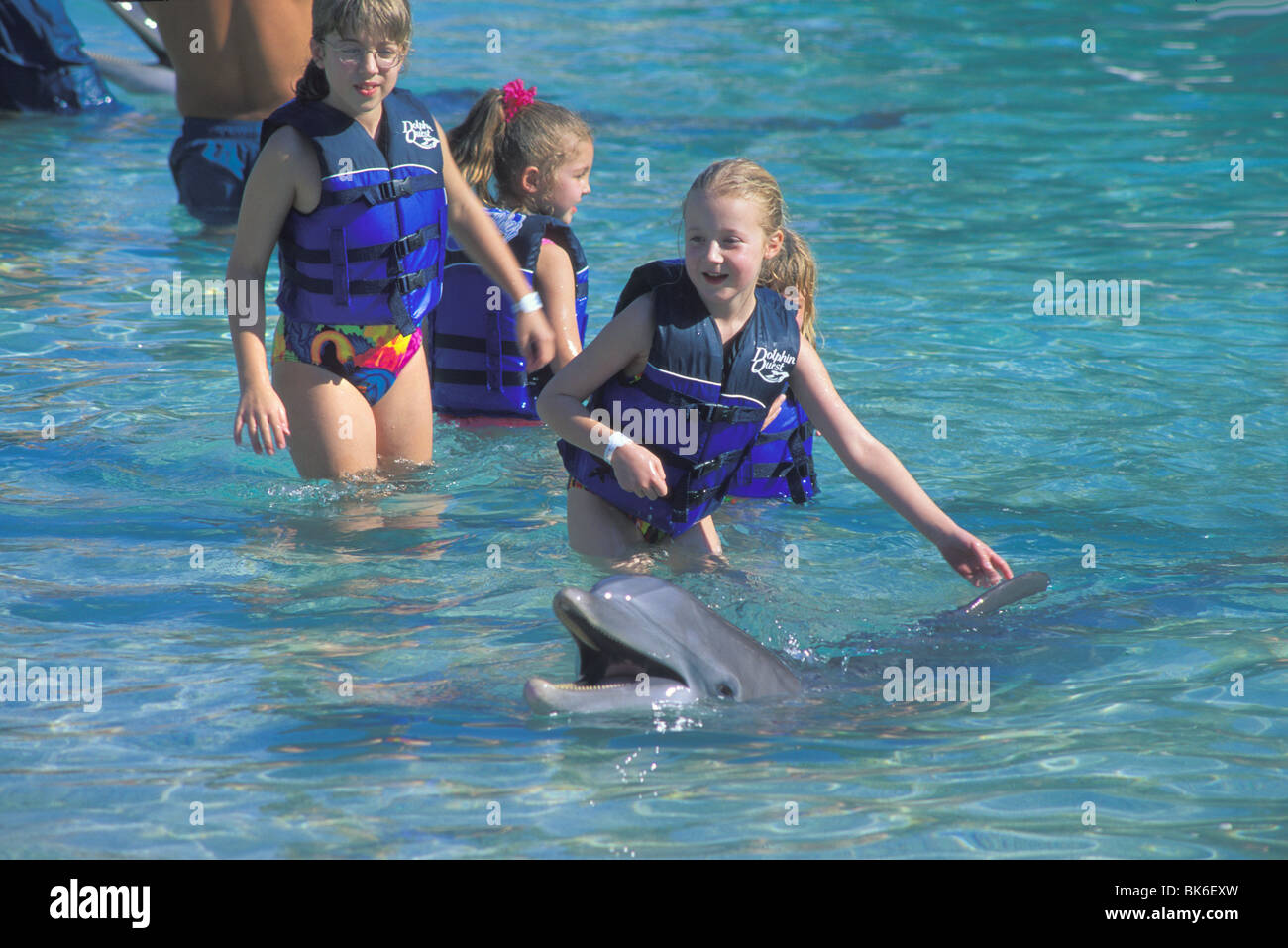 children swim with dolphin Dolphin Learning Center Waikoloa Hilton Big