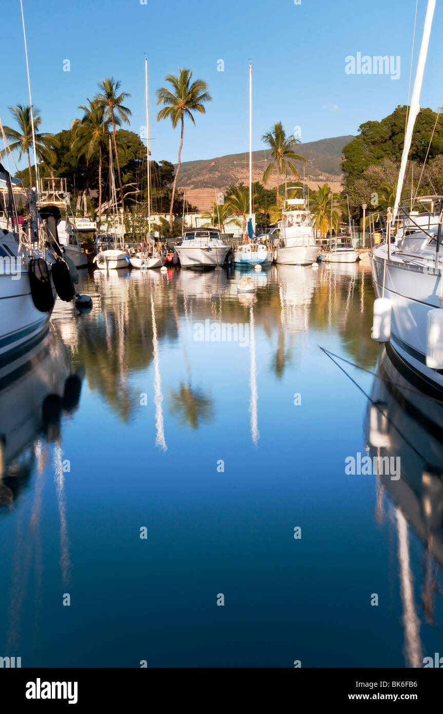 Lahaina Harbor, West Maui Hawaii showing big game fishing boats and