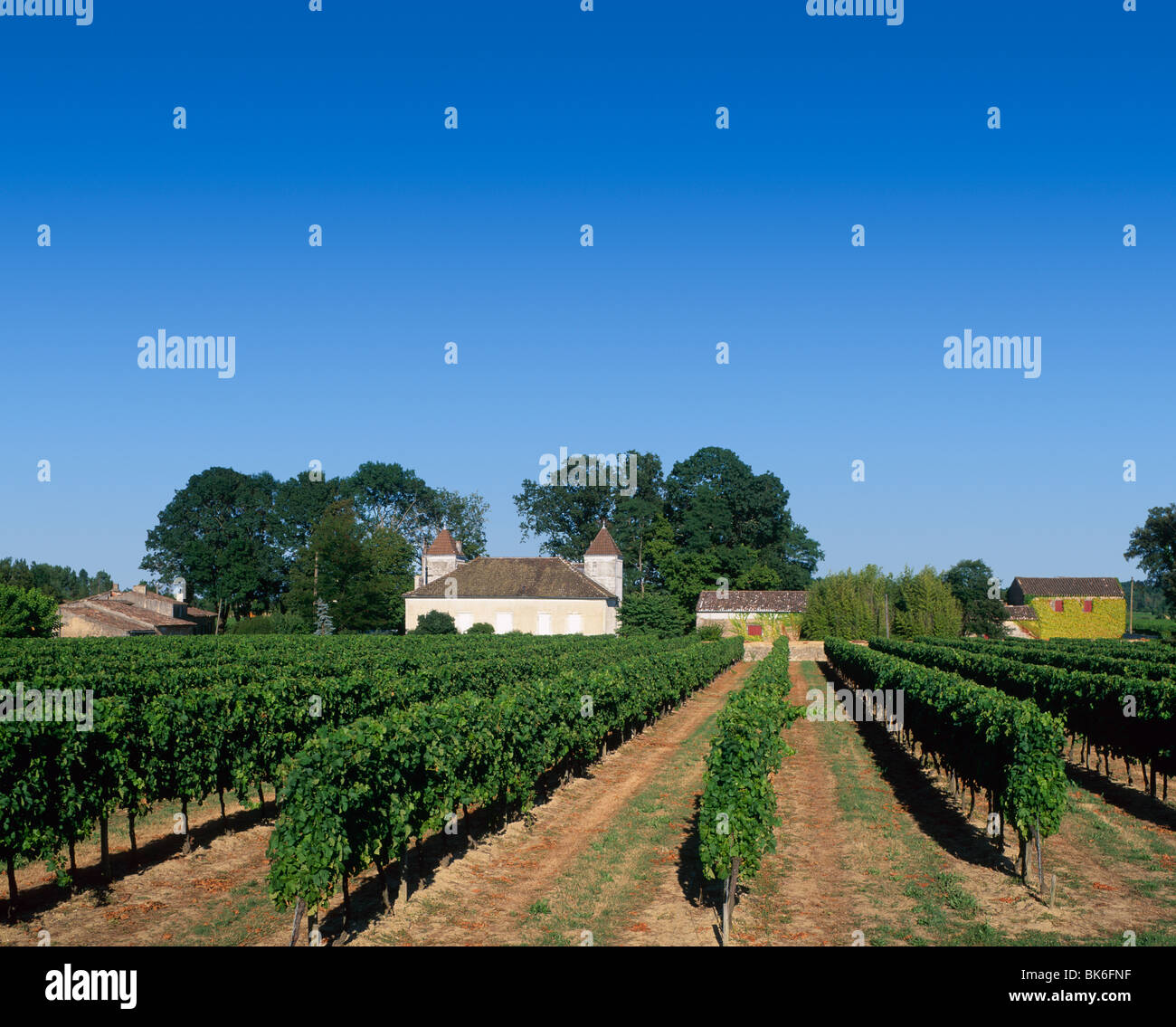 Bordeaux France Vineyard Hi res Stock Photography And Images Alamy bordeaux-france-vineyard-hi-res-stock-photography-and-images-alamy