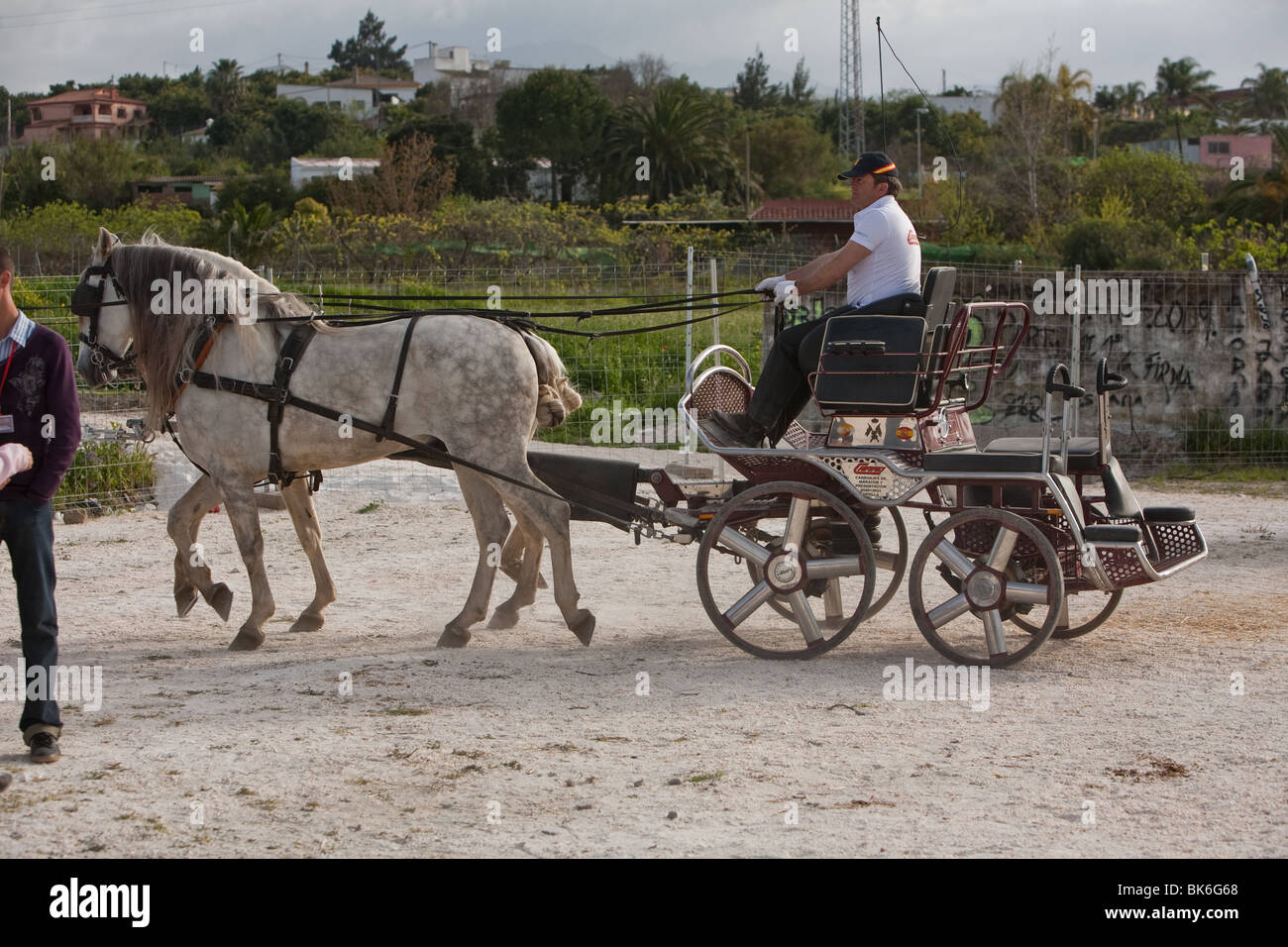 Horse cart, Spain Stock Photo Alamy