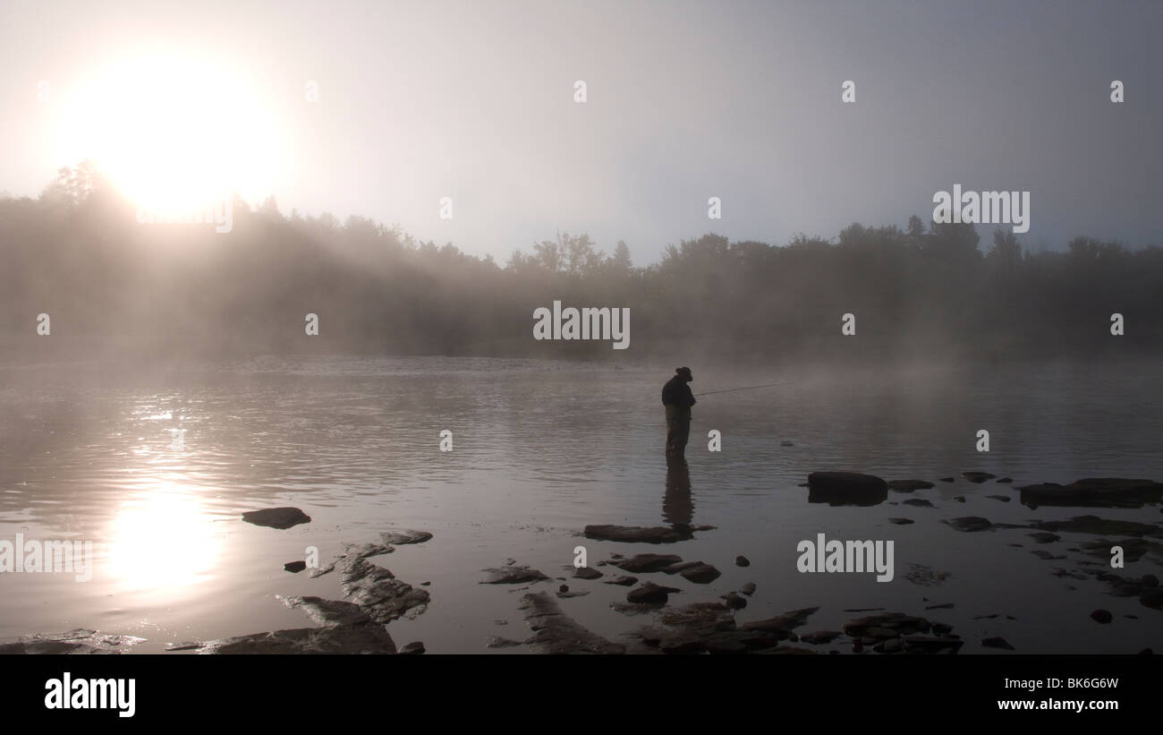 New Brunswick, Miramichi River, Canada, famous Atlantic Salmon, Salmo