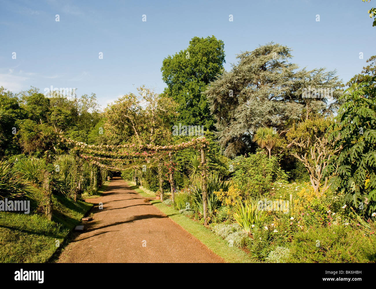 The landscaped gardens of the Quinta do Palheiro Ferreiro estate, on the island of Madeira. Stock Photo
