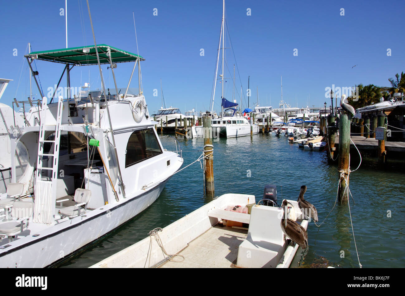 Marina, Key West, Florida, USA Stock Photo Alamy