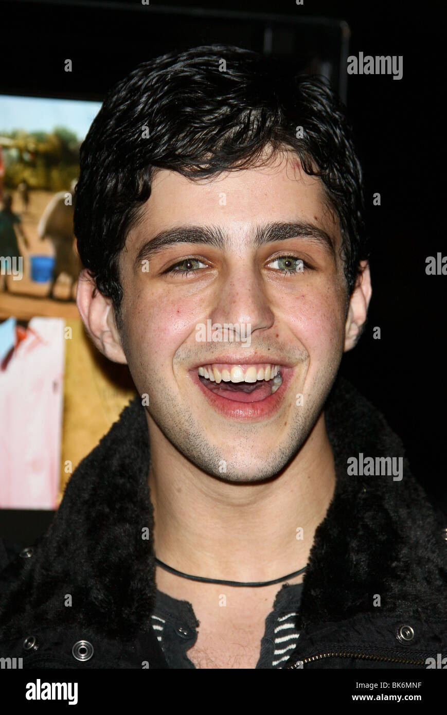 JOSH PECK DARFUR NOW LOS ANGELES PREMIERE LOS ANGELES CALIFORNIA USA 30  October 2007 Stock Photo - Alamy