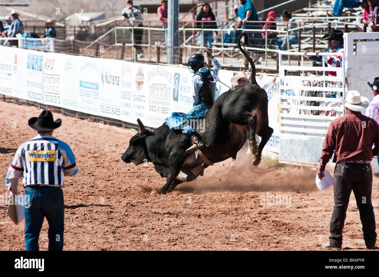 a cowboy competes in the bull riding event during the O'Odham Tash all ...