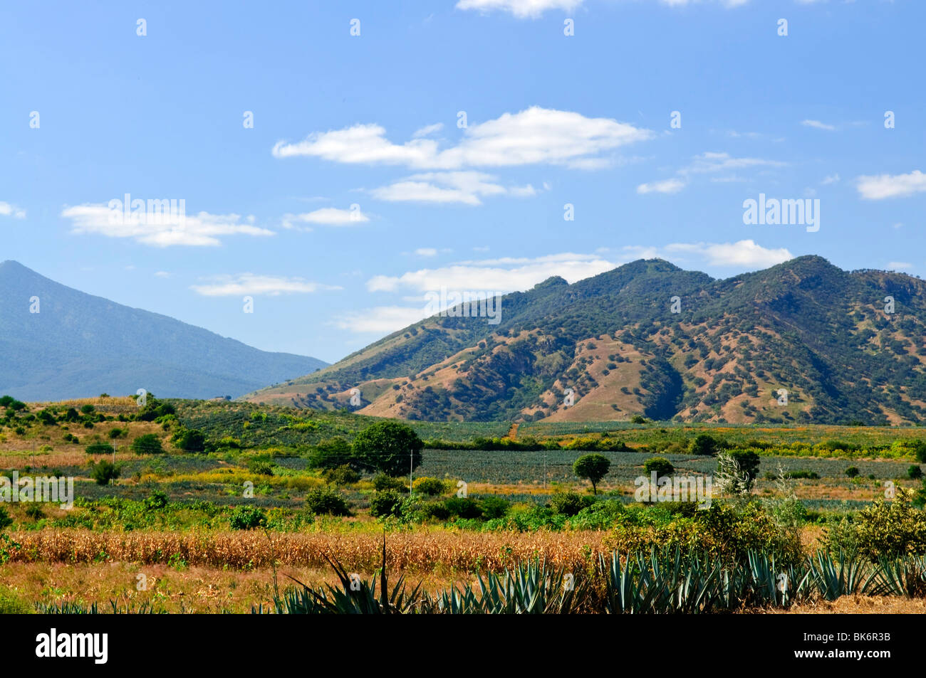 Tequila volcano hires stock photography and images Alamy