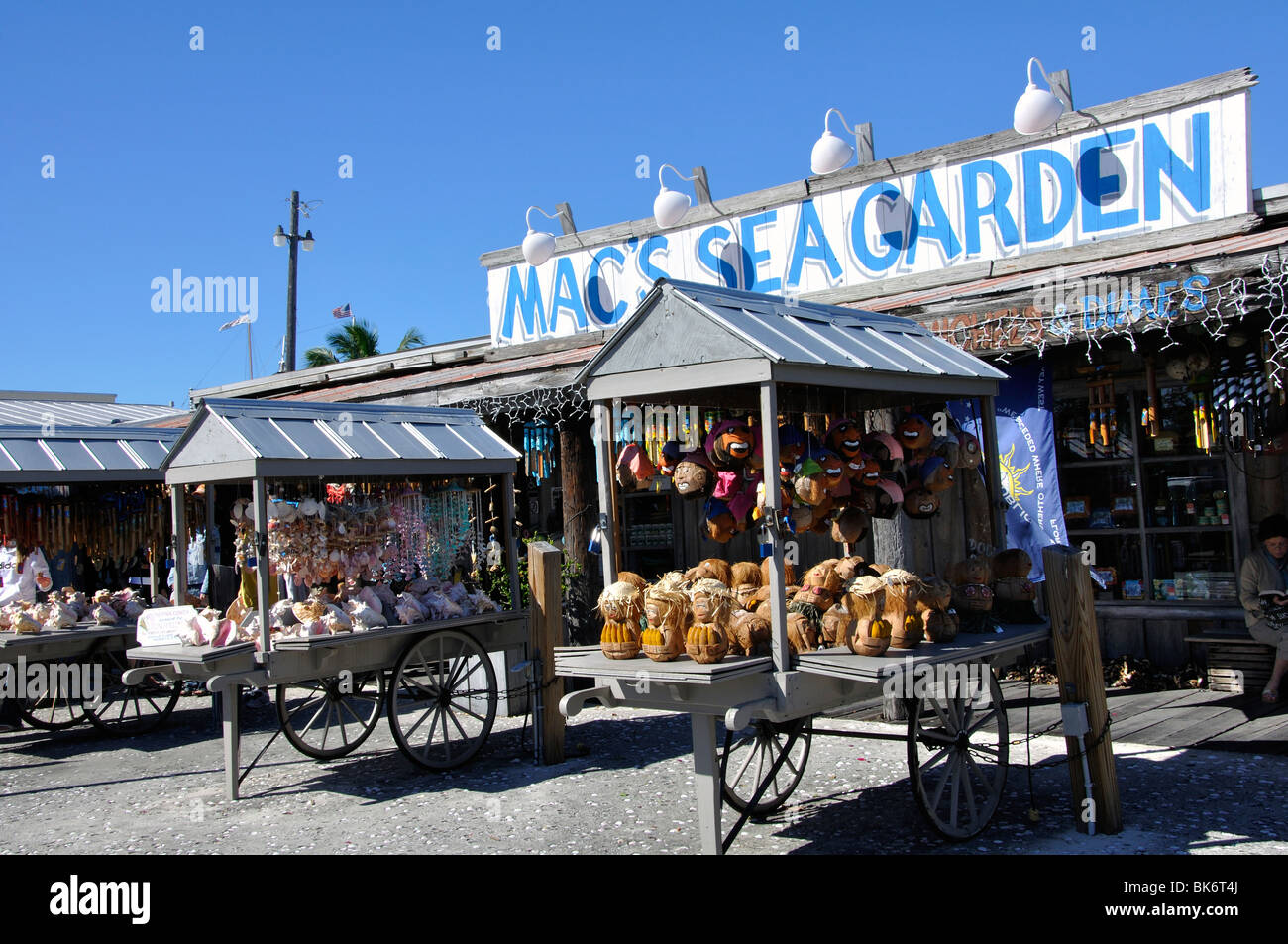 Souvenir shop, Key West, Florida, USA Stock Photo Alamy