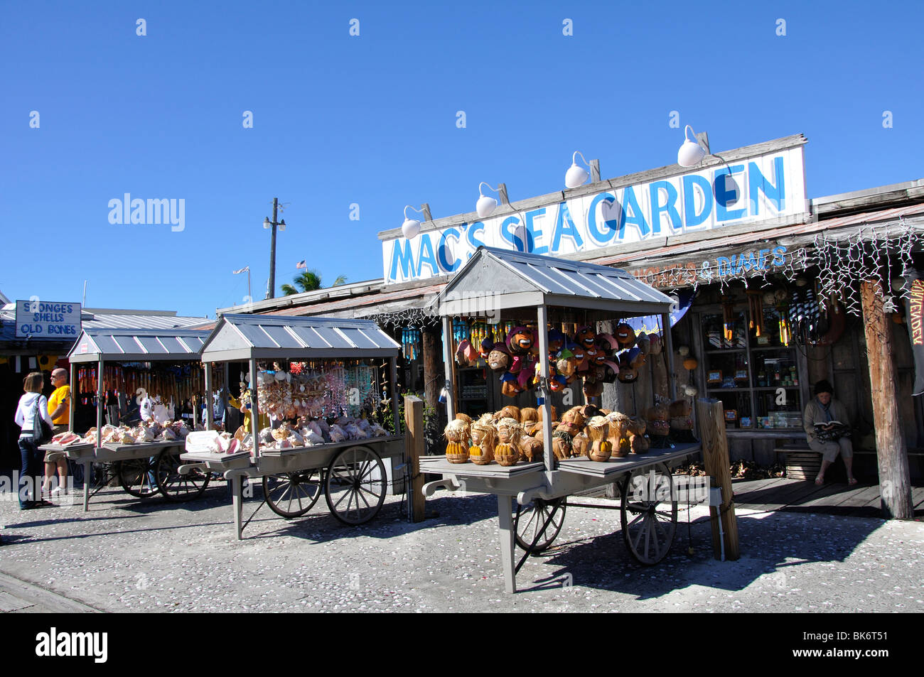 Usa florida souvenir shop hires stock photography and images Alamy