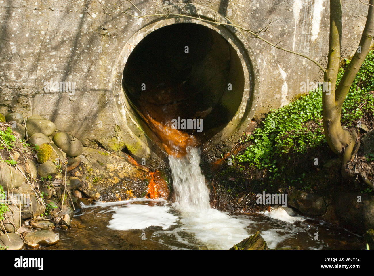 waste water Stock Photo