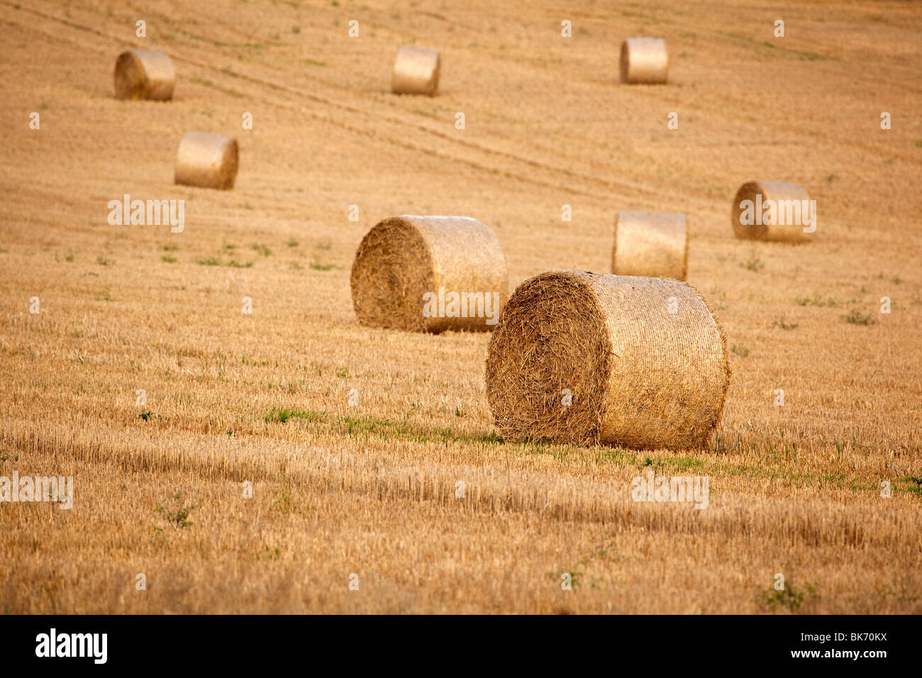 A stubble field after harvest with bales of straw Stock Photo - Alamy
