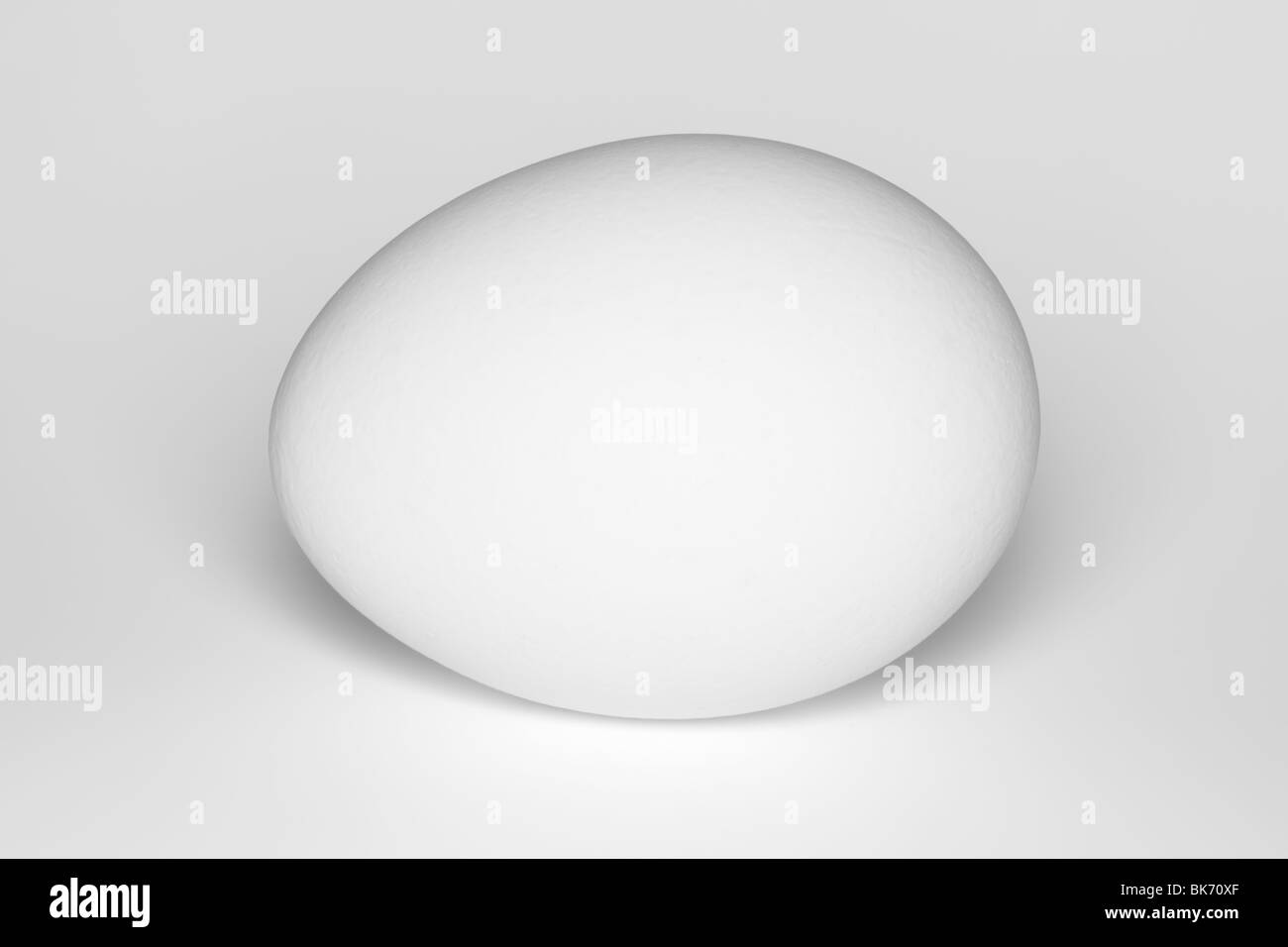 White chicken egg on a white background. Stock Photo