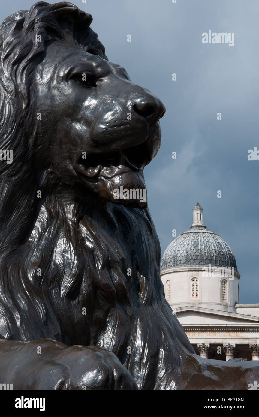 Lion at Trafalgar Square Stock Photo