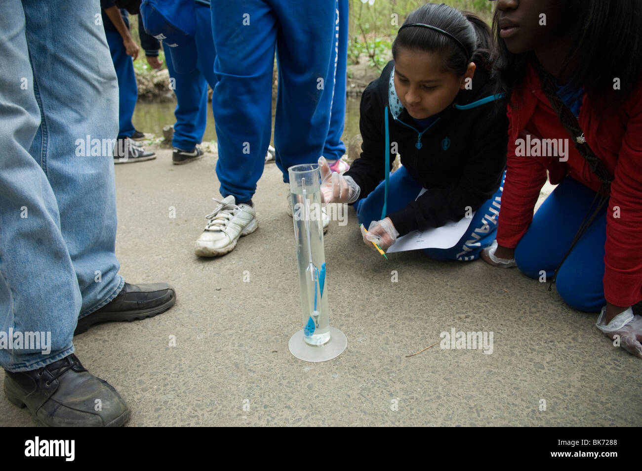 Bronx middle school students volunteer their time in Bronx Park in 