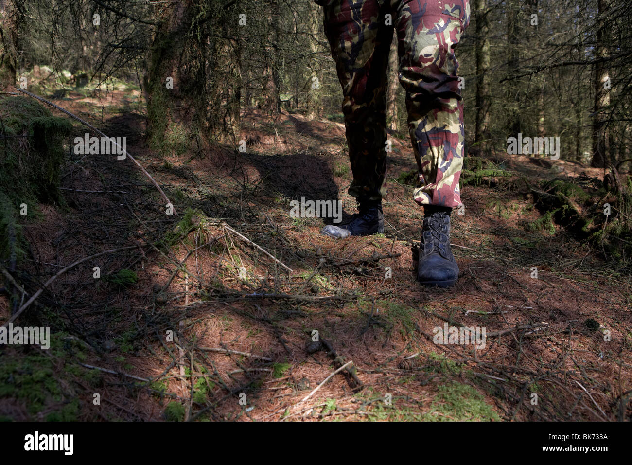 man wearing camouflage combat trousers and boots standing guarding in a forest in the uk Stock Photo