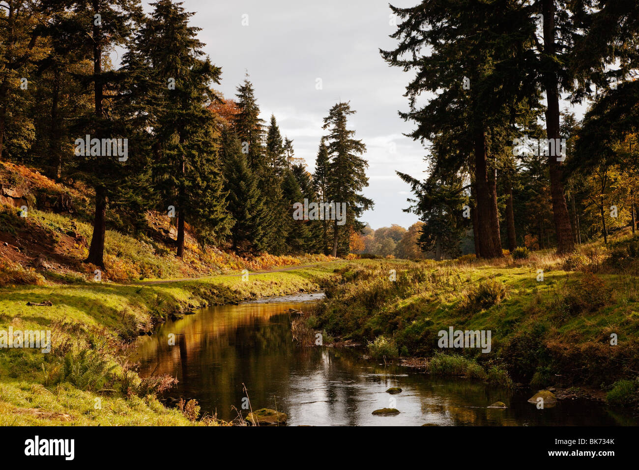 Scenic River, Northumberland, England Stock Photo - Alamy