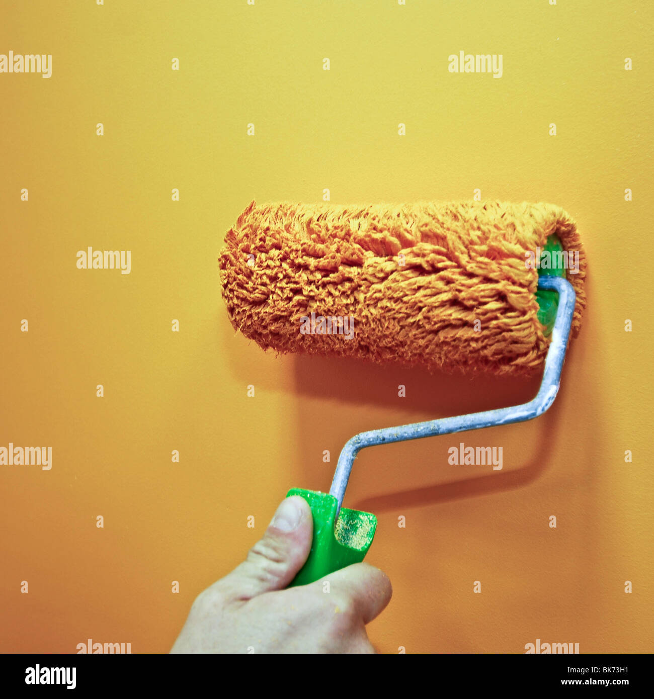 painting the wall with roller brush Stock Photo Alamy