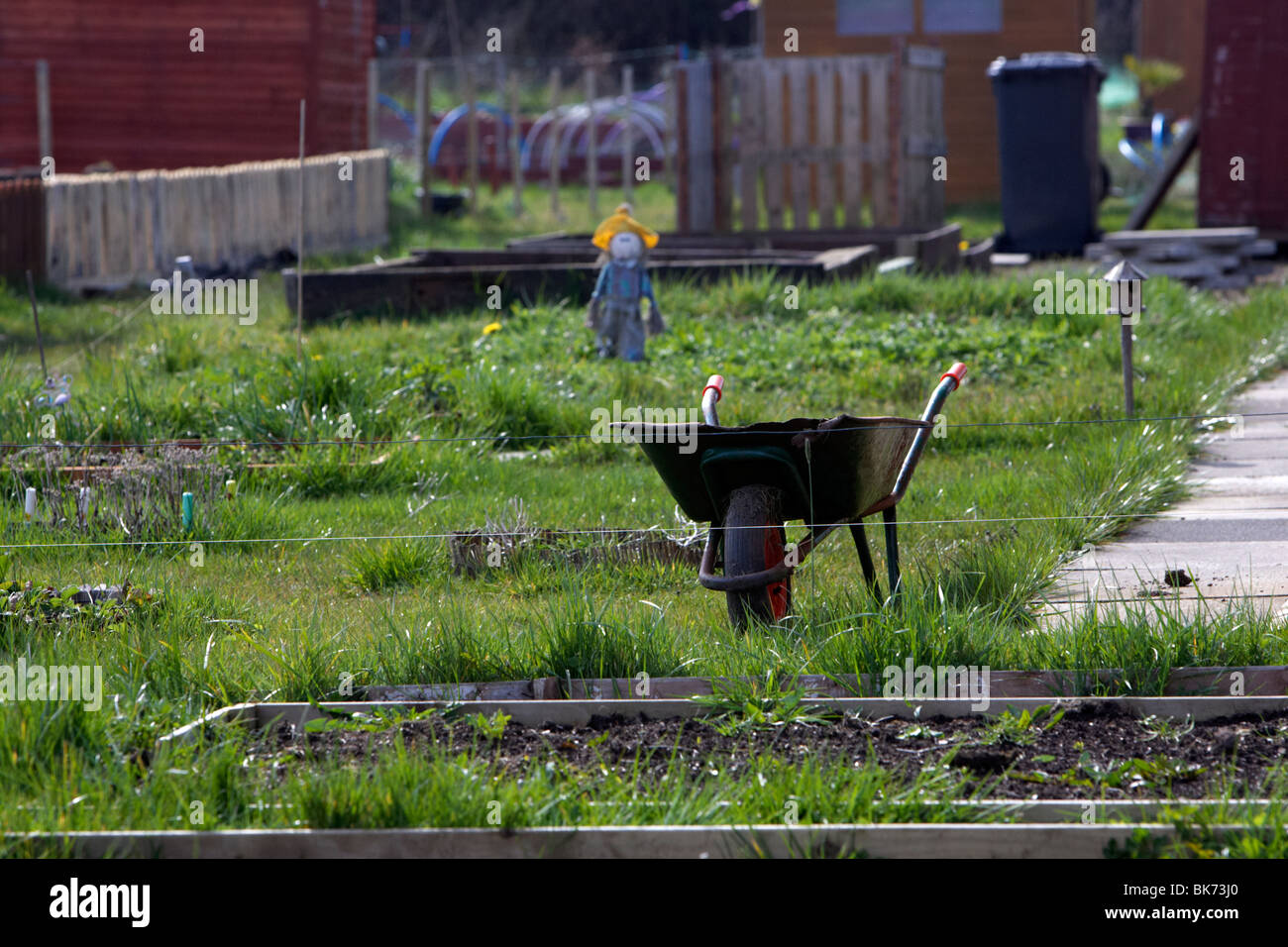empty wheelbarrow on an overgrown unused plot on a allotment site in northern ireland uk Stock Photo
