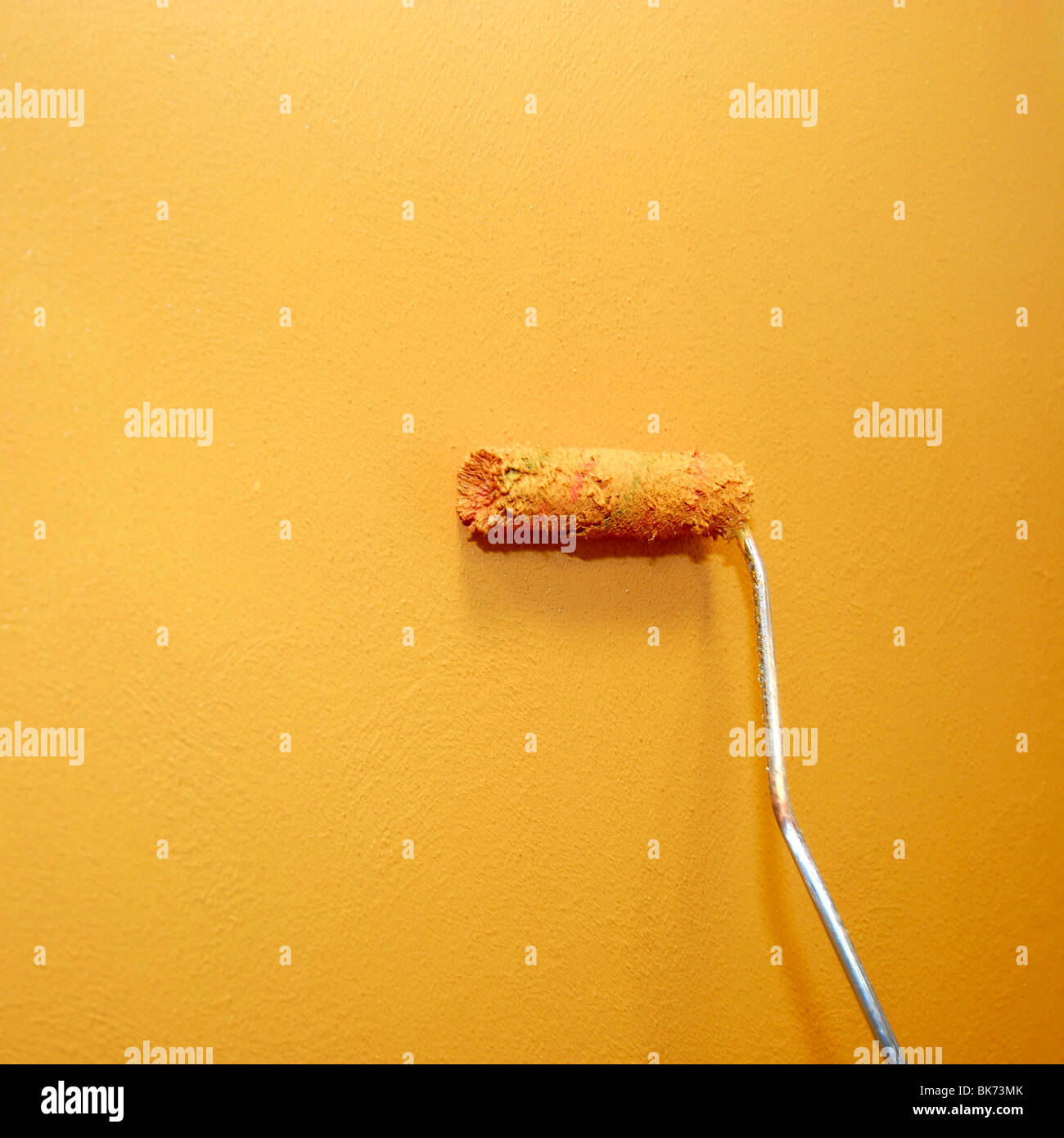 painting the wall with roller brush Stock Photo Alamy