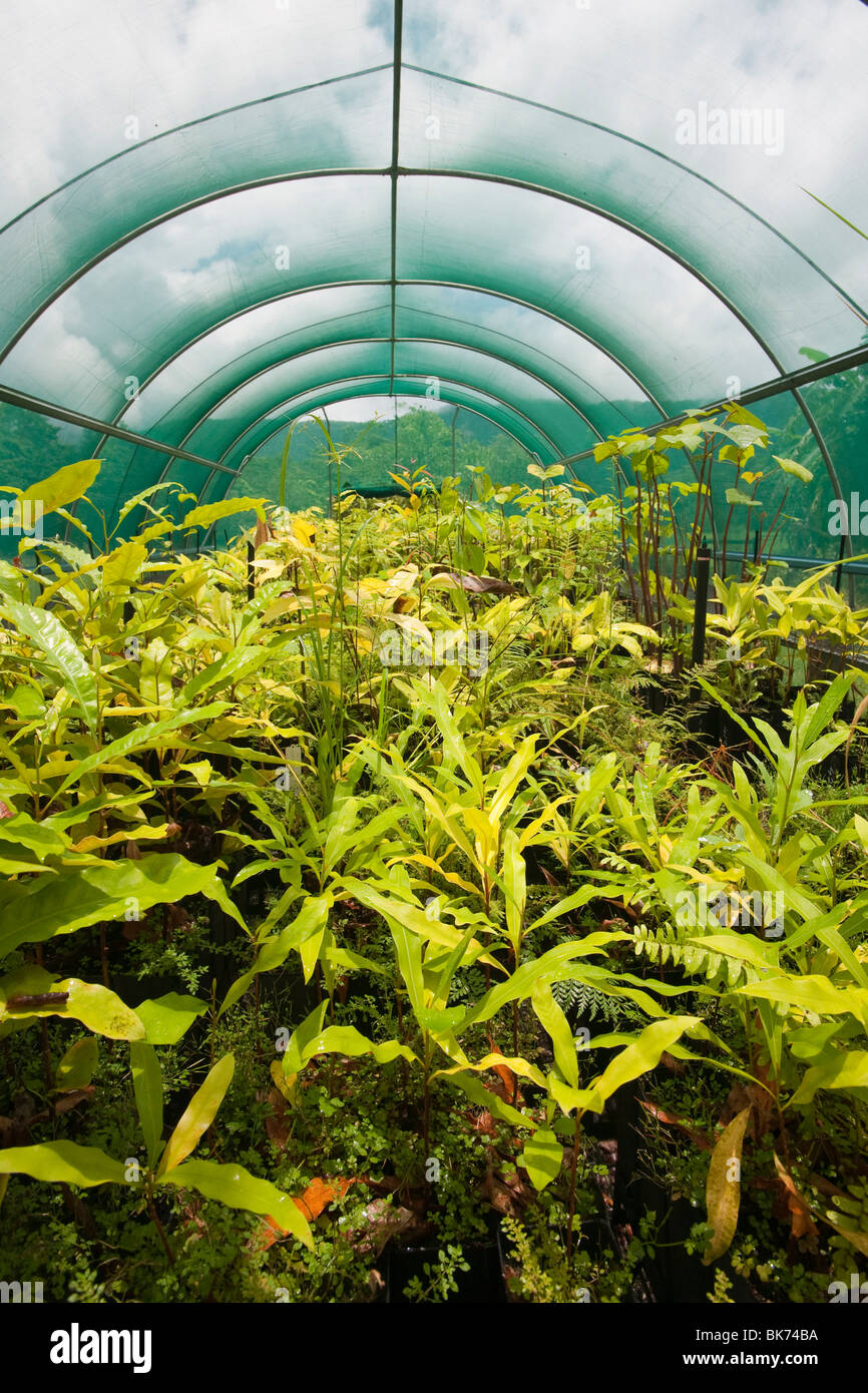 The Headquarters of the Australian Rainforest Foundation in the