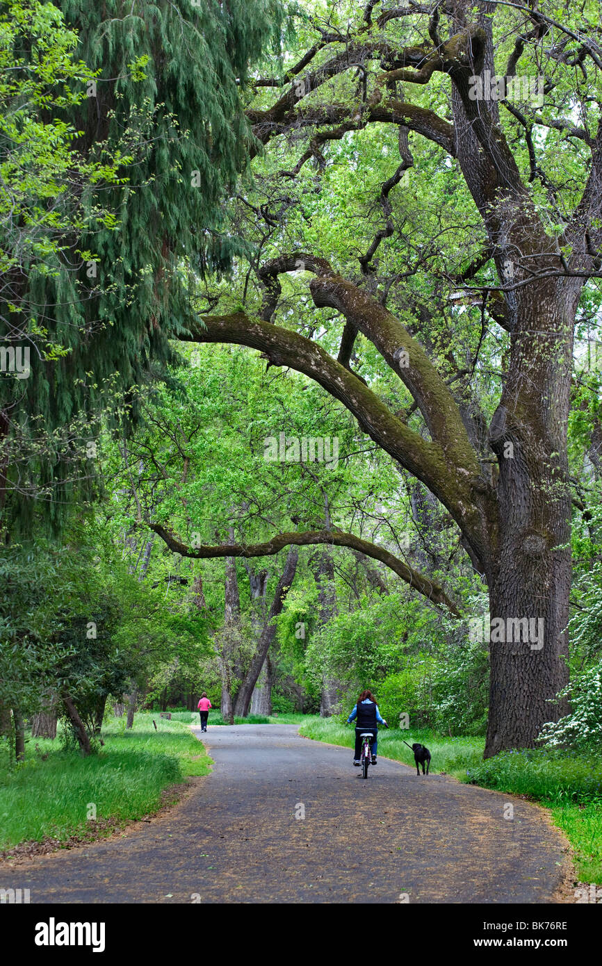 Bidwell Park in Chico, CA in the spring Stock Photo Alamy