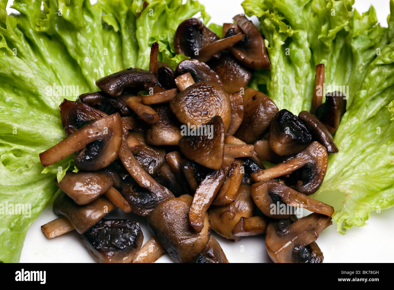 Grilled mushrooms champignon on salat Stock Photo