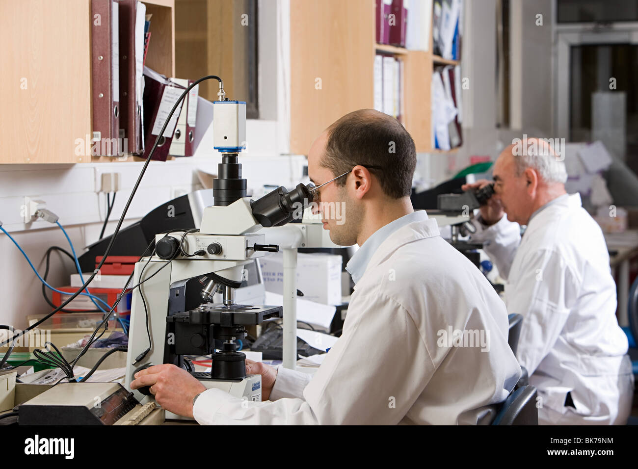 Microscopes hires stock photography and images Alamy