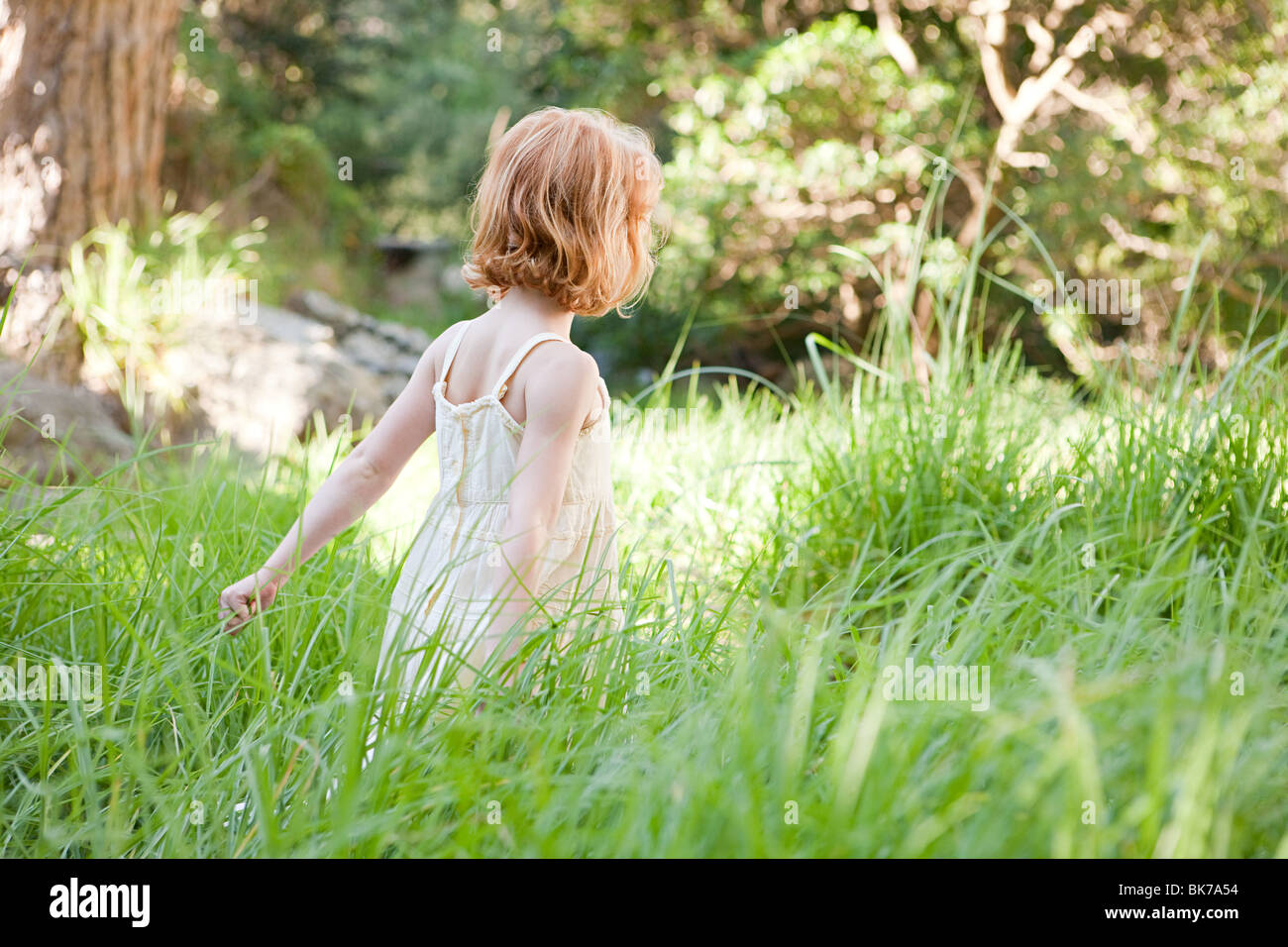 Little girl in field of grass Stock Photo - Alamy