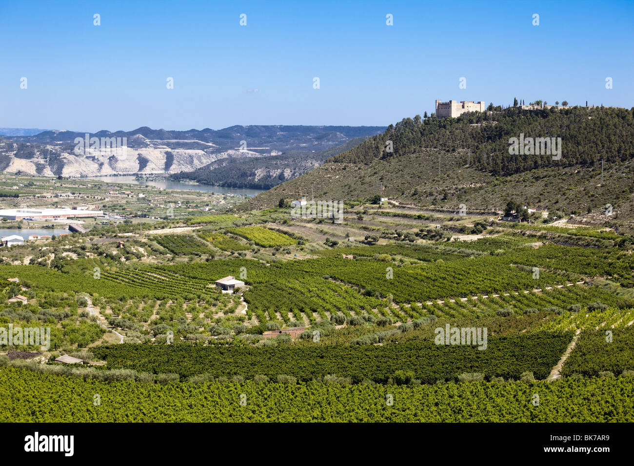plantations beside segre and ebro river and mequinenza castle Stock Photo