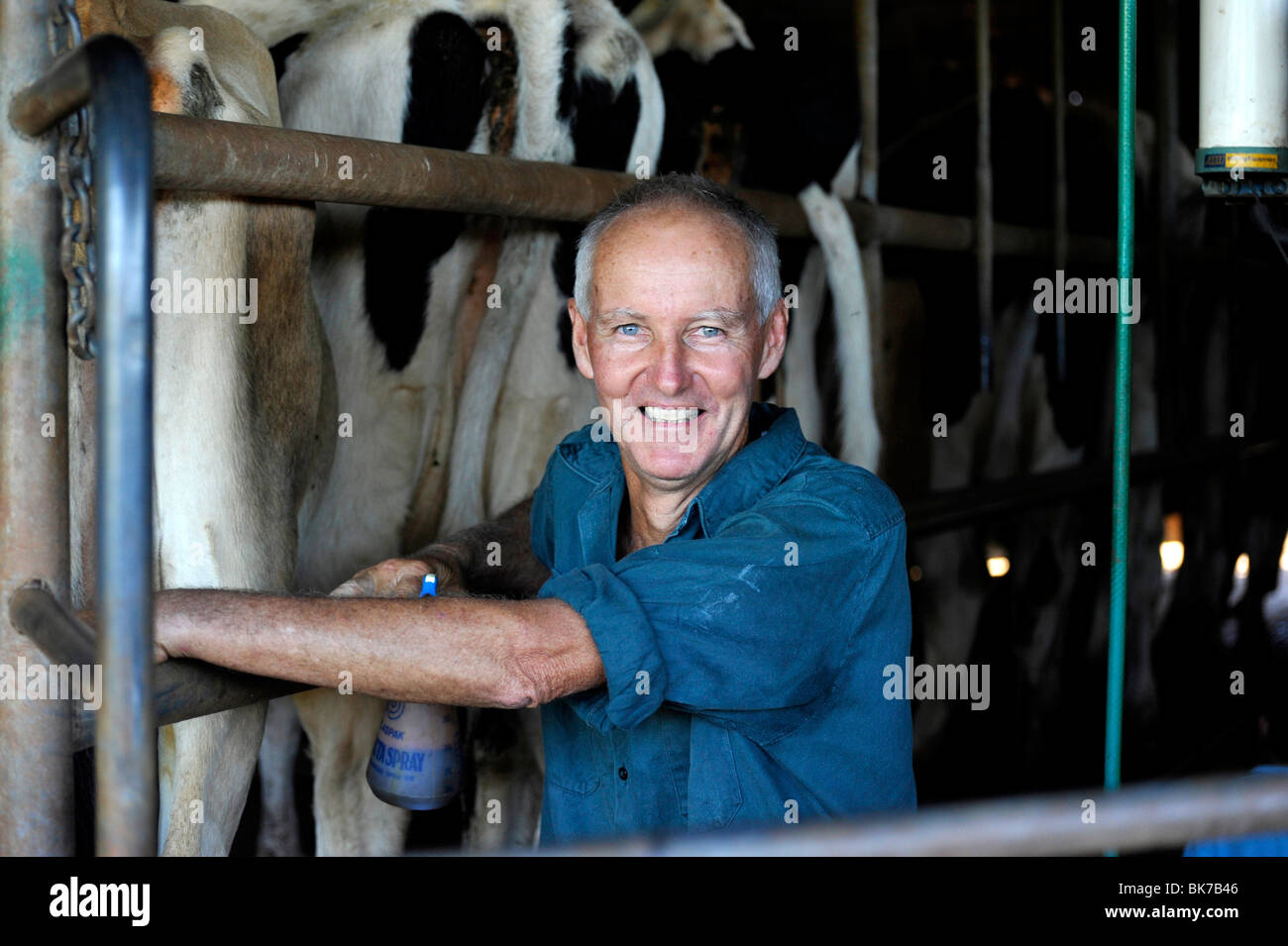 Dairy Farmer Ken Wadsworth Coorabell Scenic drive Byron Bay Australia Stock Photo