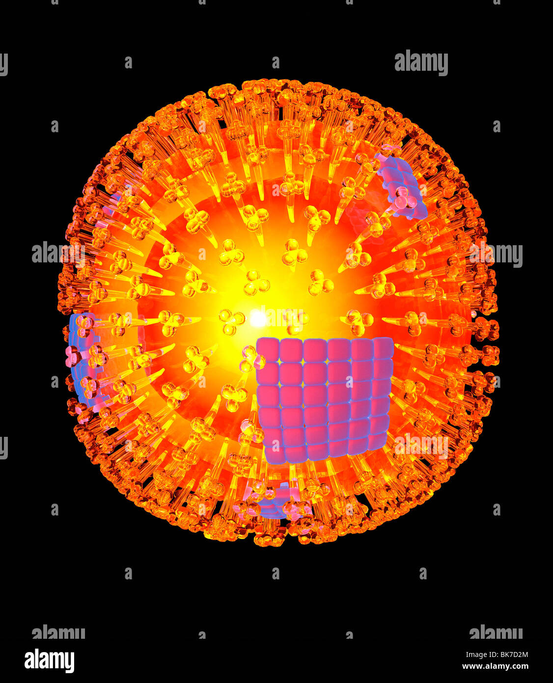 Scientific image flu virus hi-res stock photography and images - Alamy