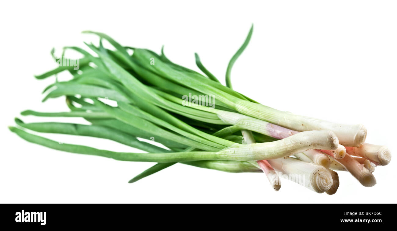 Green onions bunch on a white background Stock Photo - Alamy