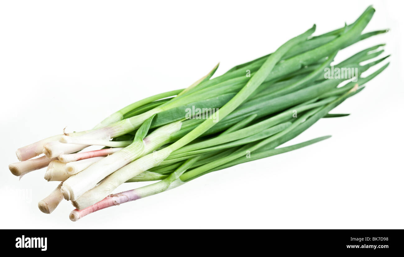 Green onions bunch on a white background Stock Photo - Alamy
