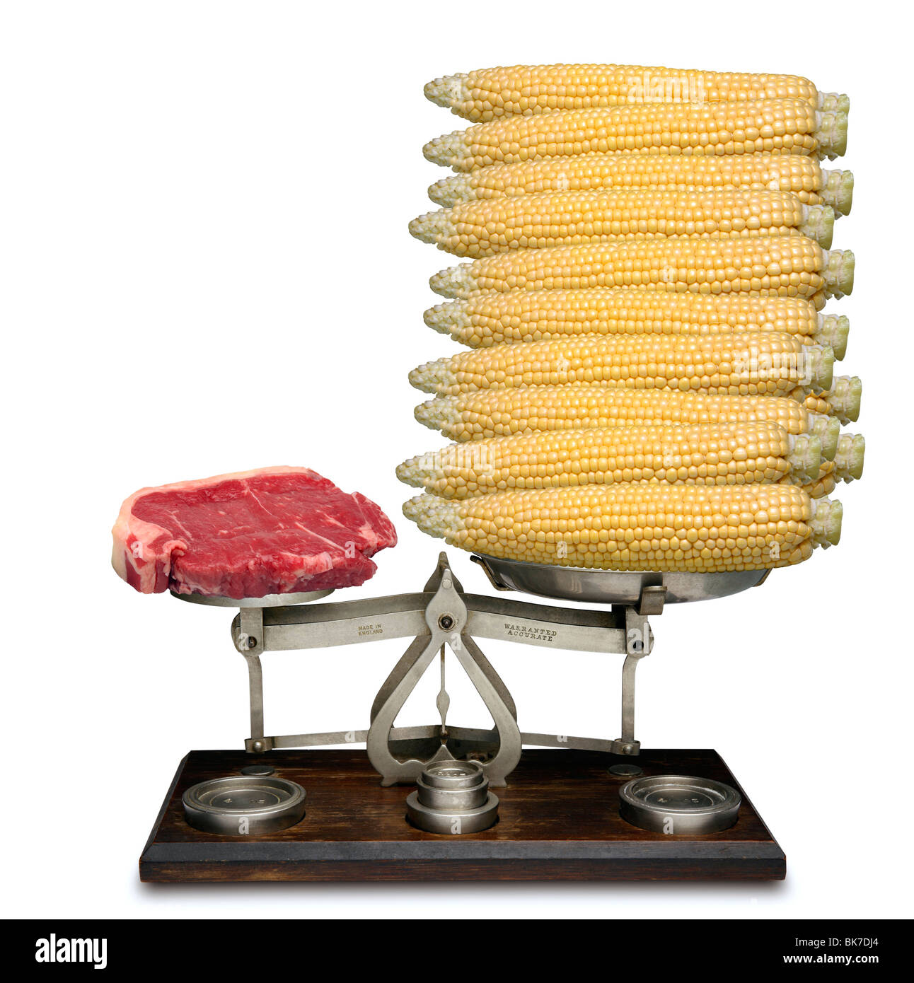 Meat scales.jpg  Ilva Beretta Photography