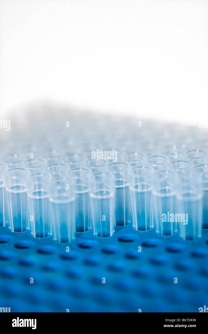 Eppendorf tubes Stock Photo Alamy
