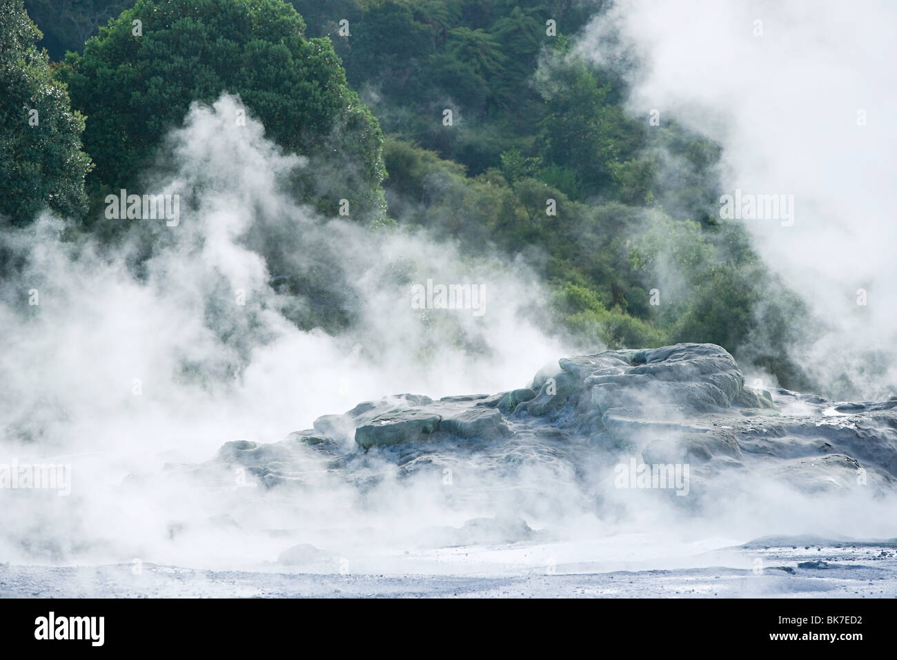 Rotorua, Whakarewarewa thermal area Stock Photo Alamy
