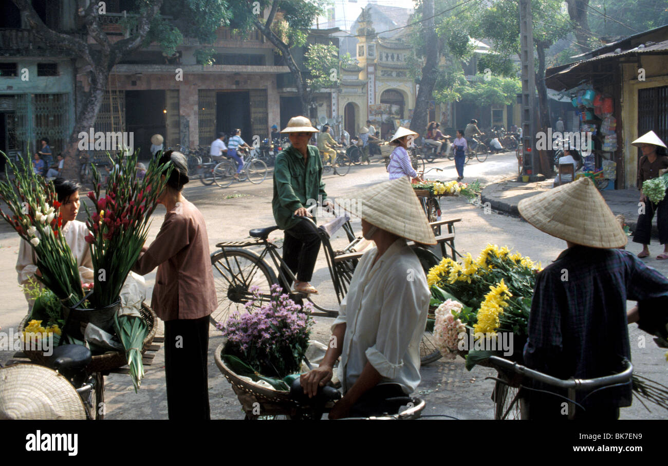 Street scene, Hanoi, Vietnam, Indochina, Southeast Asia, Asia Stock Photo