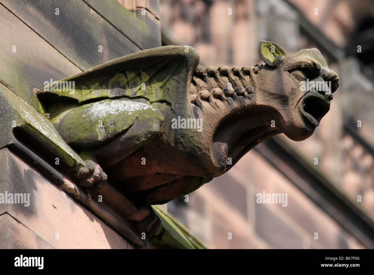 Gargoyle At Chester Cathedral, Cheshire, UK Stock Photo
