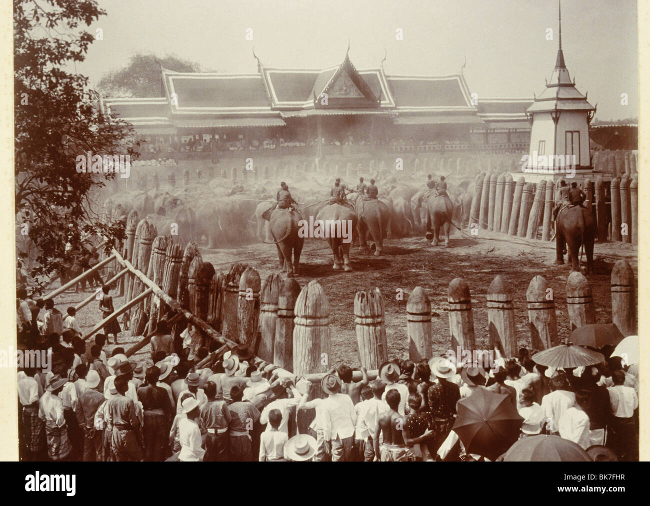 Phtoograph of Royal elephant hunt in Ayutthaya circa 1890, Thailand, Southeast Asia, Asia Stock Photo