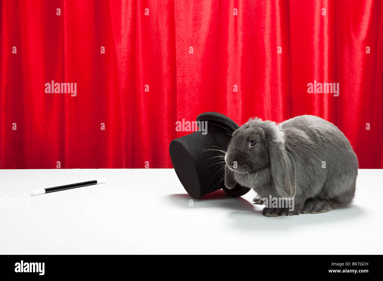 Rabbit with top hat and magic wand Stock Photo