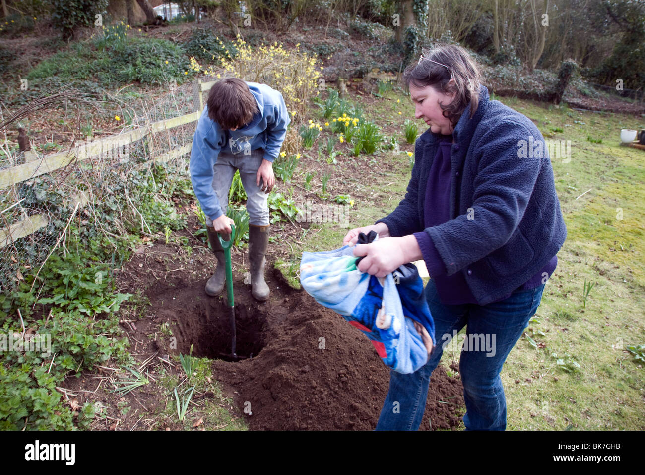 Model released teenage boy digging hole in garden to bury ...