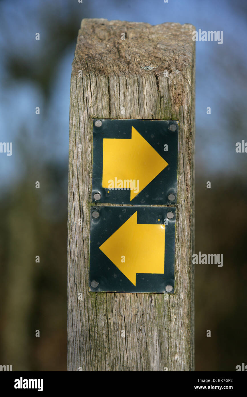 Which direction sign post with yellow arrows Stock Photo