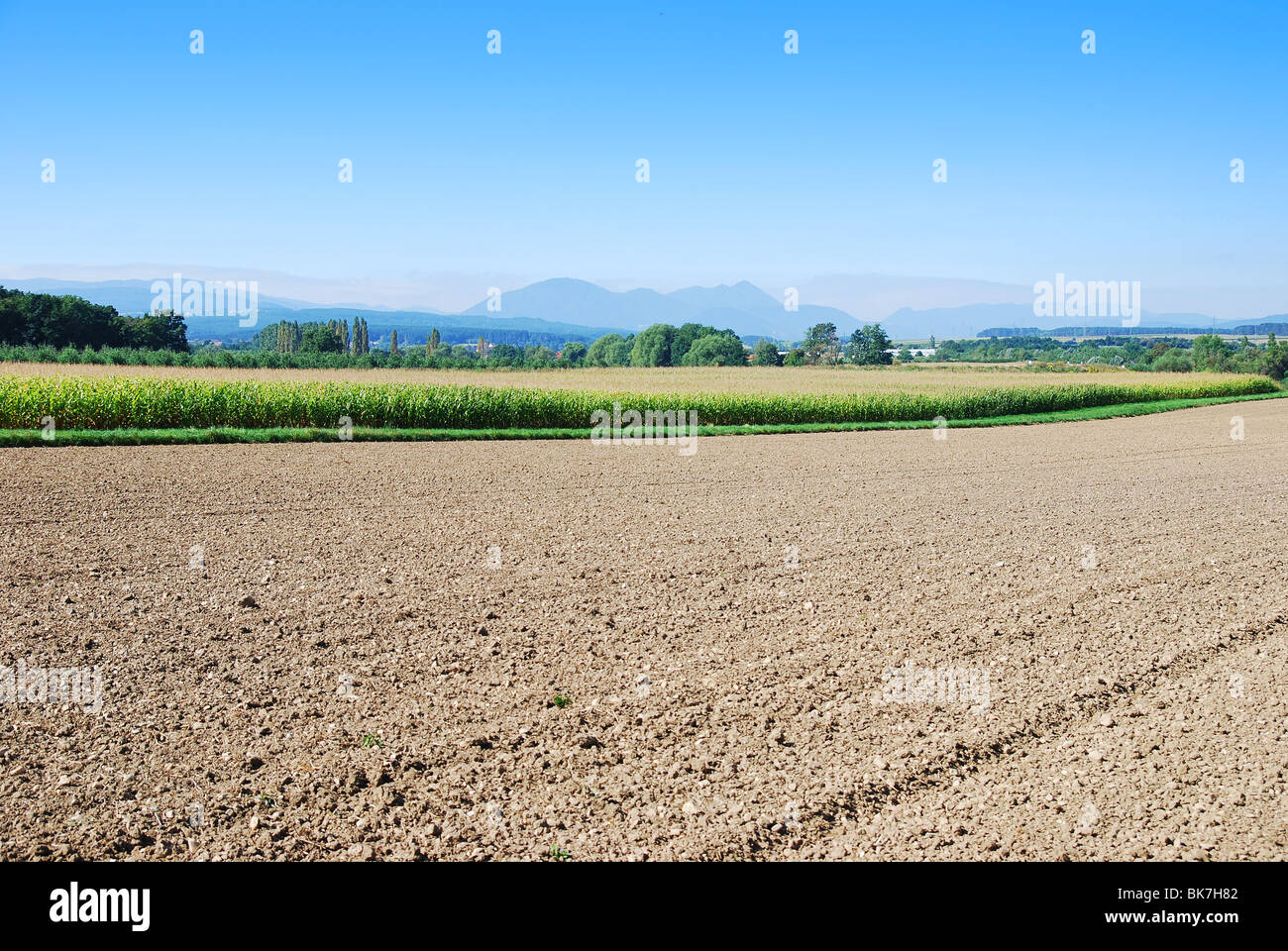 Farm field in Austria Alps Stock Photo