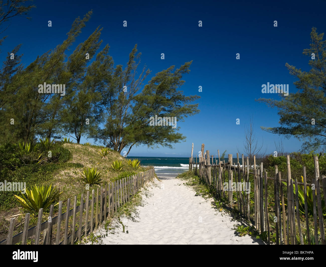 A sand path to the beach. Great cloudless blue sky. Stock Photo