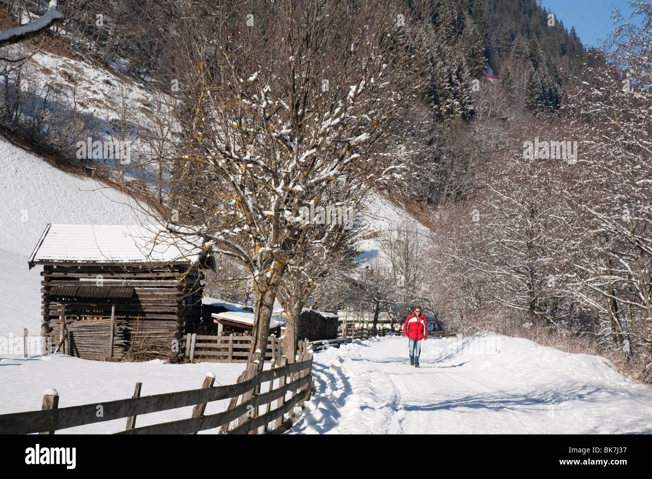 Man walking on Winterwanderweg cleared trail along Alpine valley with snow in winter, Rauris, Austria, Europe Stock Photo