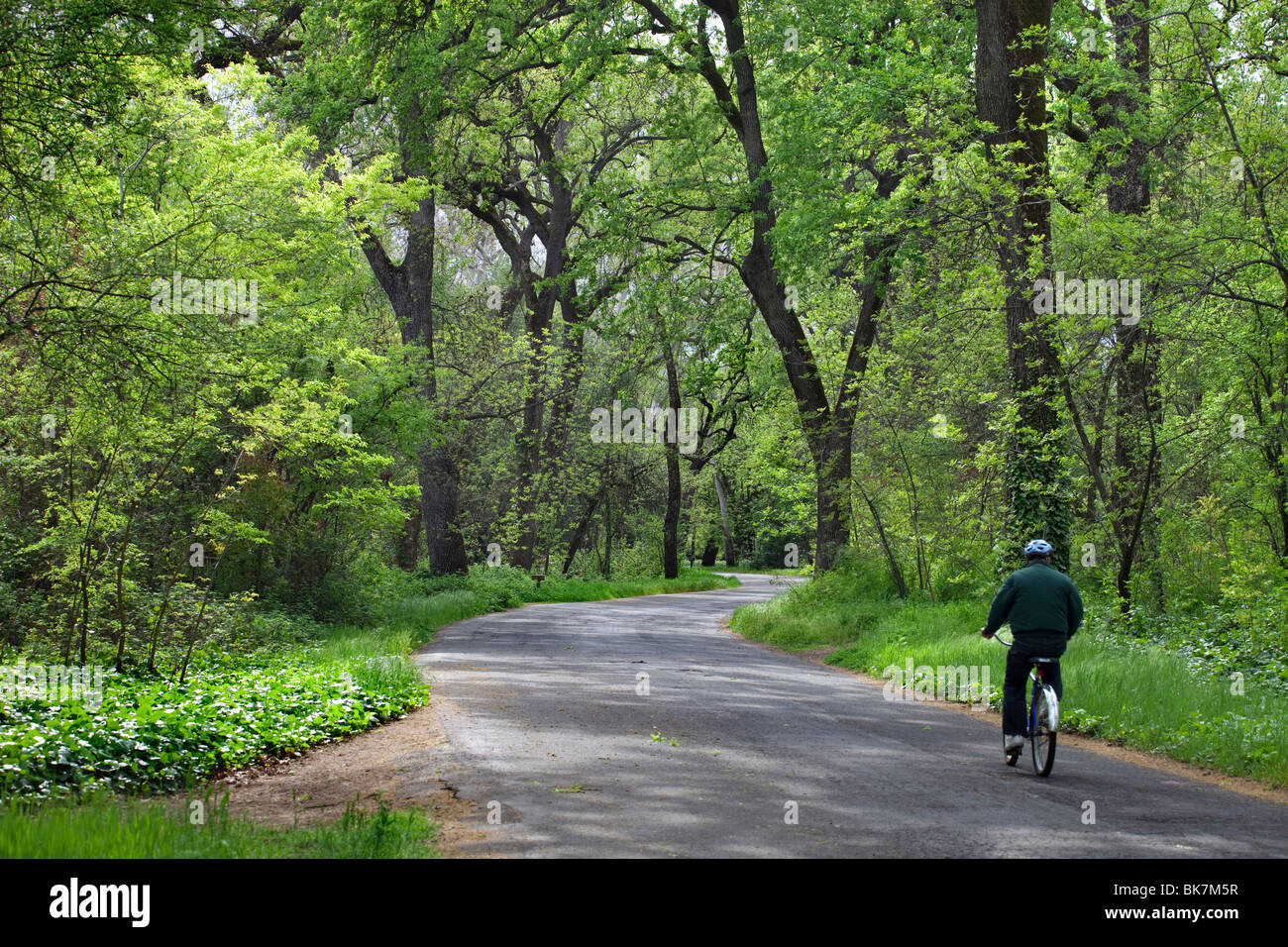 Bidwell Park in Chico, CA in the spring Stock Photo Alamy