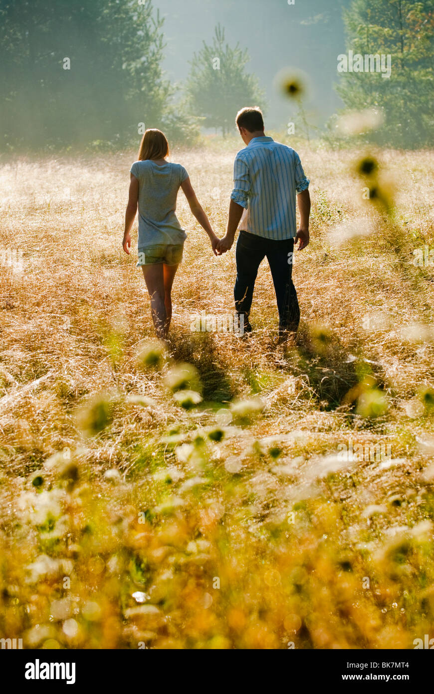Young couple walking through field holding hands Stock Photo Alamy