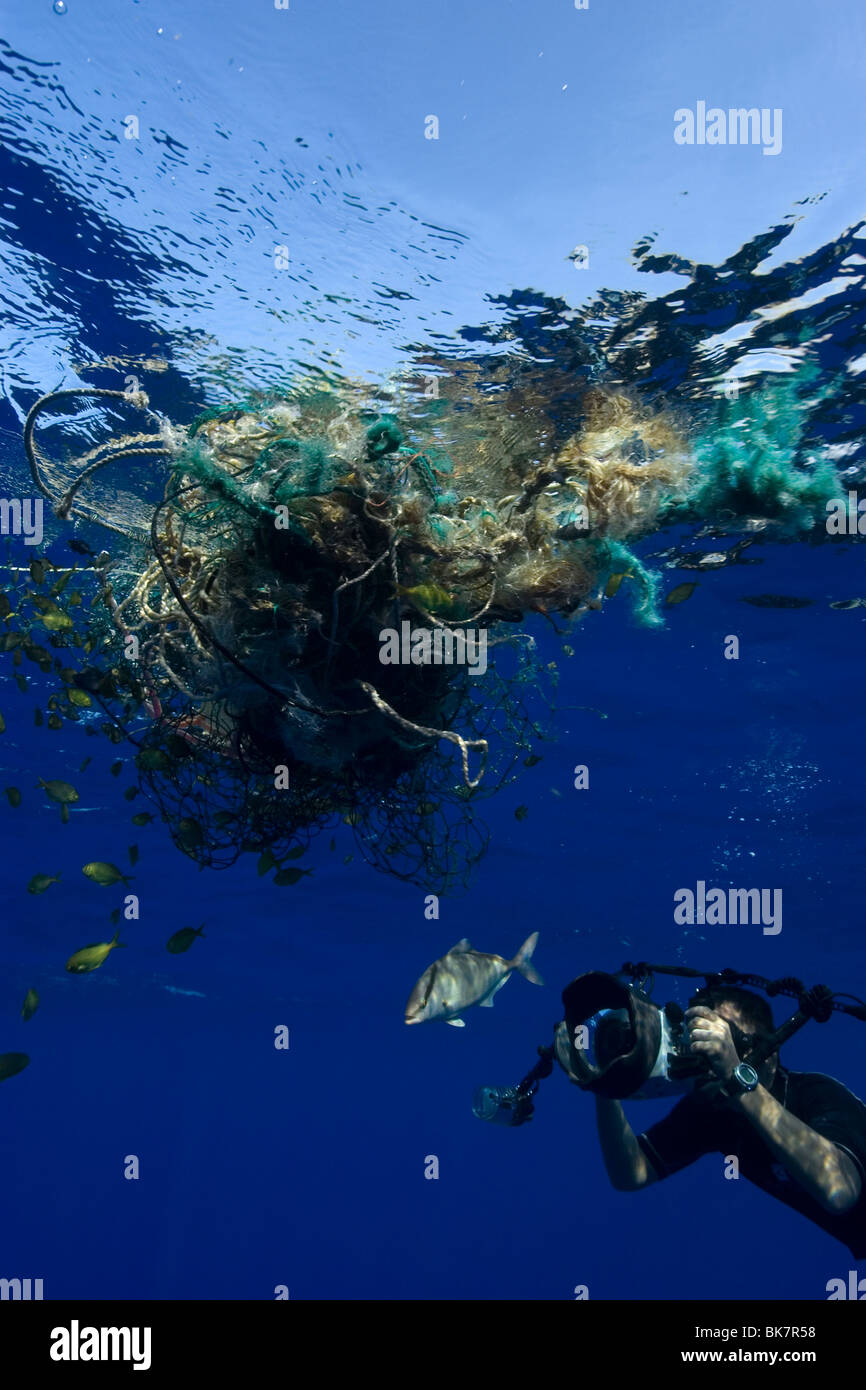 Photographer Masa Ushioda photographs almaco jack, Seriola rivoliana, offshore near Kailua-Kona, Hawaii Stock Photo