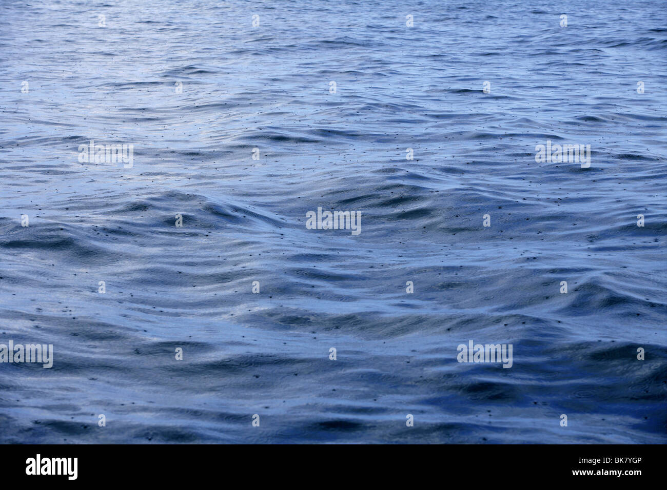 Blue sea surface on rainy day rain falling over waves Stock Photo