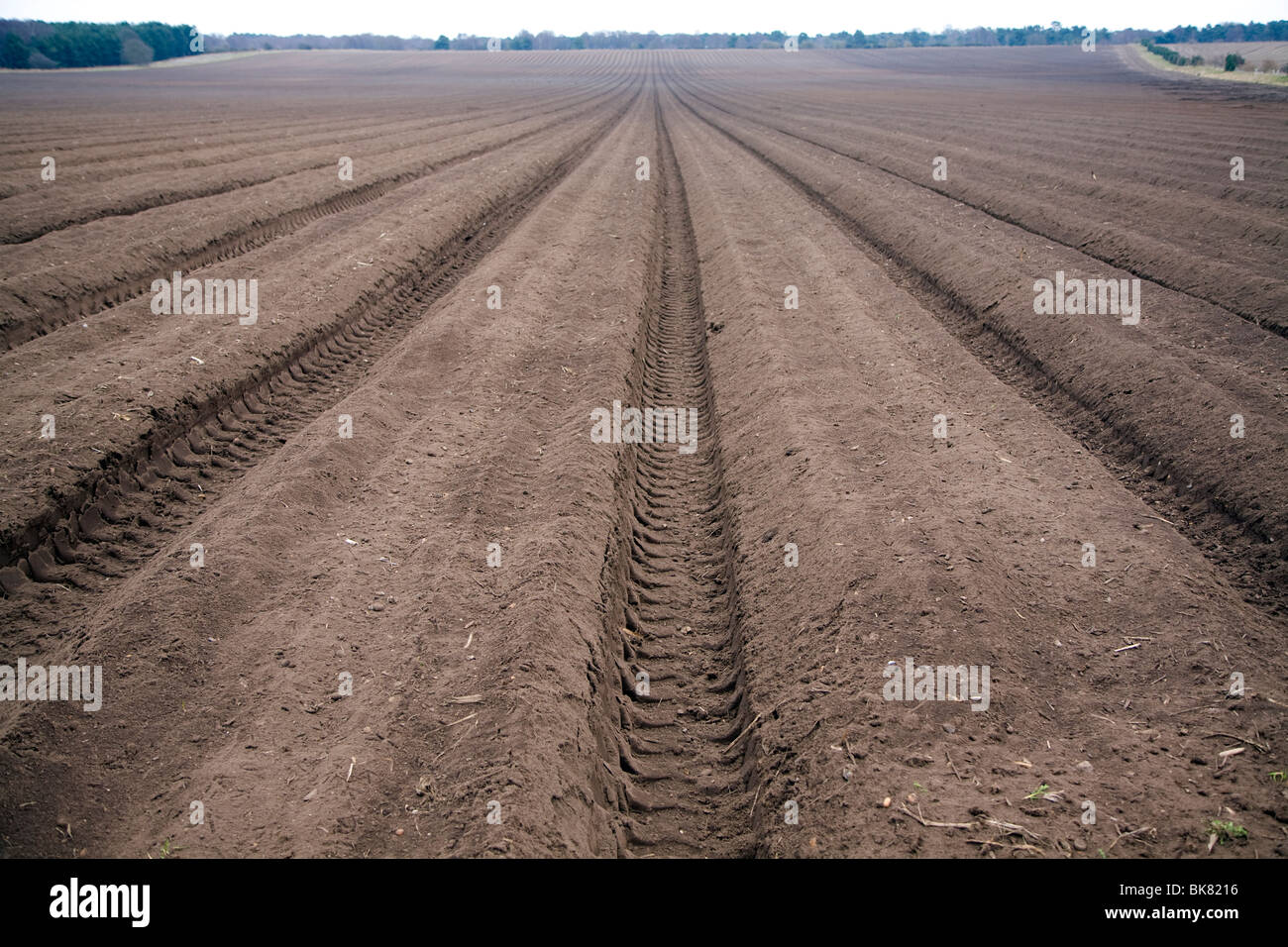 Deep soil furrows ploughed field Sutton Heath, Suffolk Stock Photo